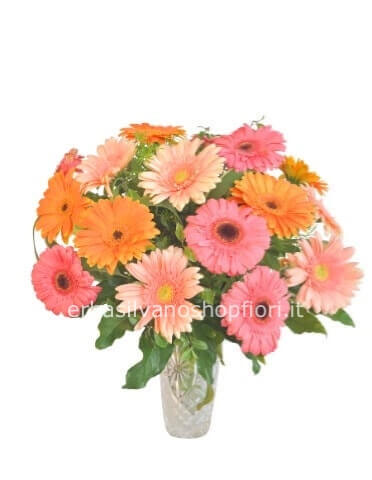 Bouquet di Gerbere + verdi