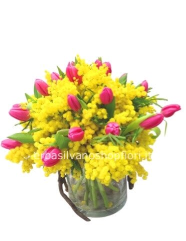 Bouquet di tulipani e mimosa grande, con prezzo a scelta del cliente.