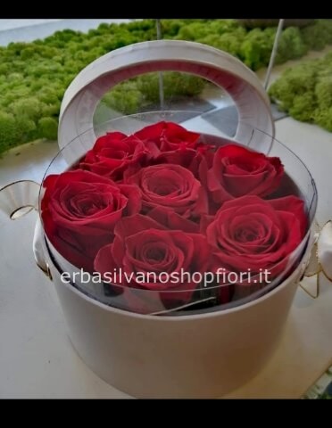 scatola media_ 7 rose