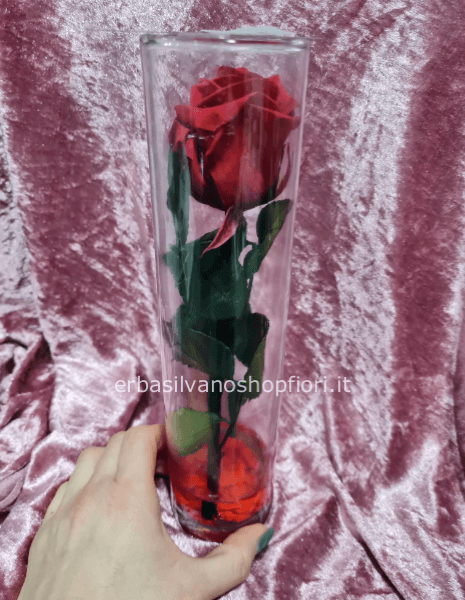 rosa stabilizzata grande