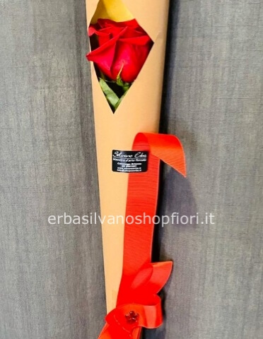 Rosa BIANCA singola in cono con fiocco