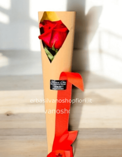 Rosa singola gambo lungo