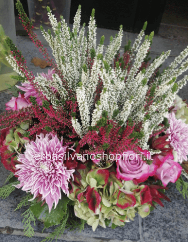 composizione tonda fiori e piante