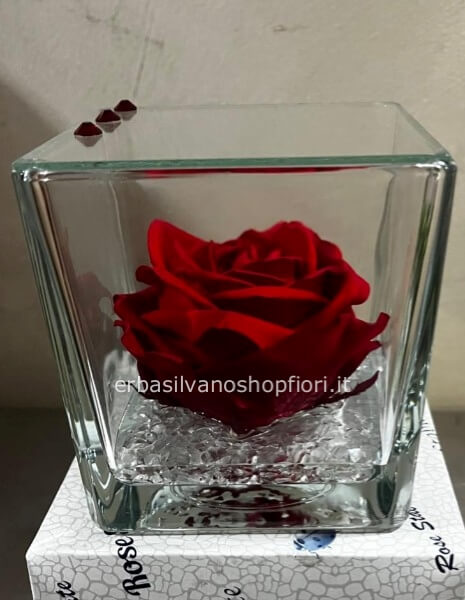 Rosa eterna grande in bicchiere di vetro