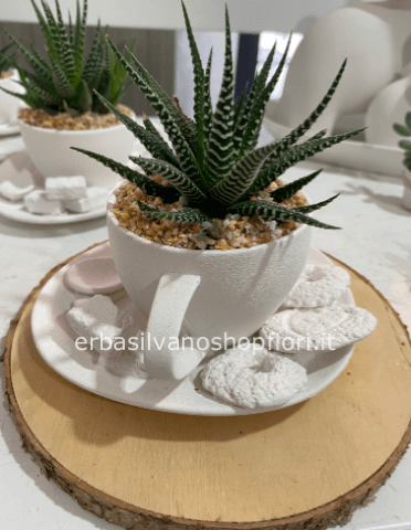 tazzina biscottini PICCOLA