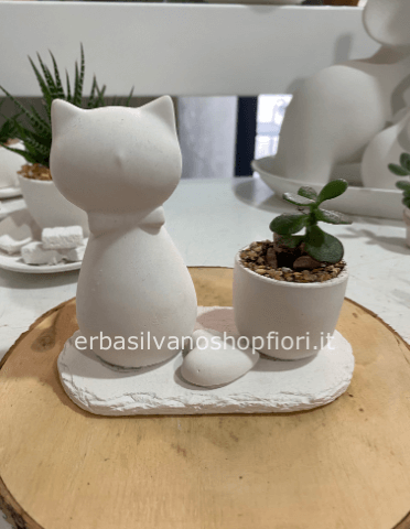 pianta grassa in scultura in  gesso GATTINO