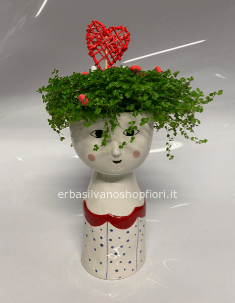 Testa ceramica con pianta verde 