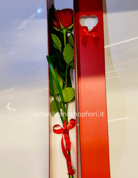 Rosa singola in scatola rossa con fiocco