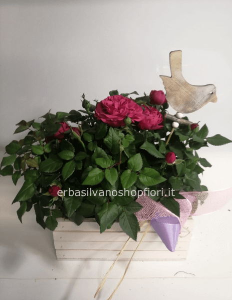 Cassettina con roselline