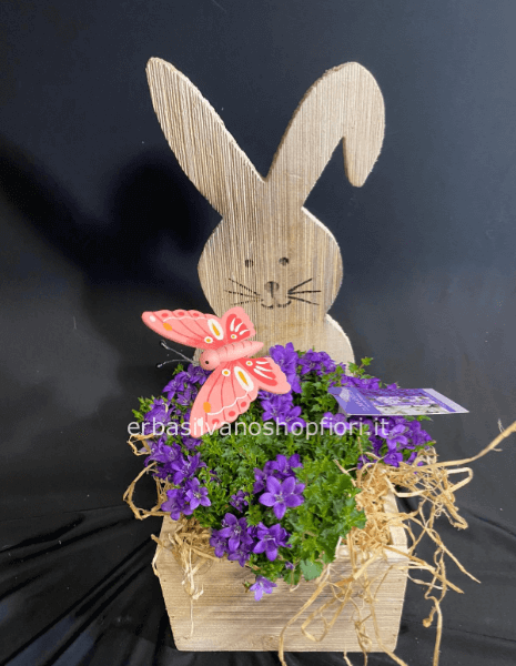 Coniglio con Campanula