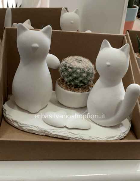 pianta grassa scultura in gesso GATTINI coppia