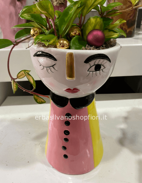 solo VASO