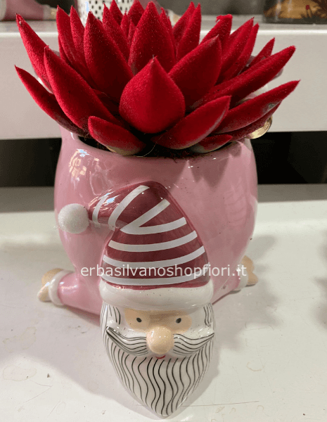 vaso Babbo Natale con pianta grassa rossa