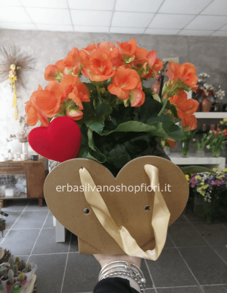borsetta con pianta fiorita