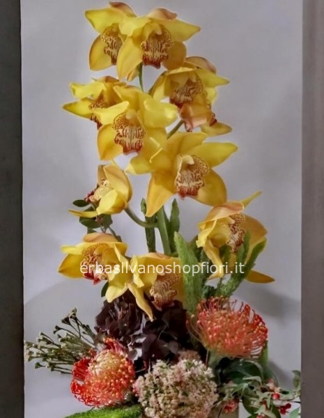 Composizione con Orchidea Cymbidum in vaso